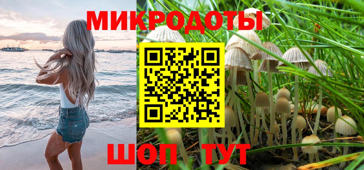 Псилоцибиновые грибы мицелий Ковров